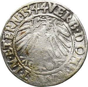 Silesia, Duchy of Legnicko-Brzesko-Wołowskie, Frederick II, penny 1544, Legnica