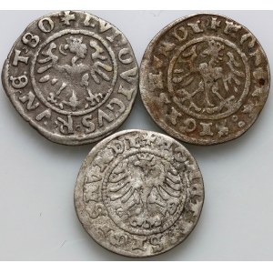 Zygmunt I Stary, zestaw półgroszy z lat 1508-1520, (3 sztuki)
