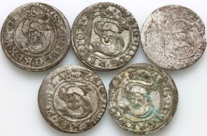 Sigismund III Vasa, set of shekels, (5 pieces)
