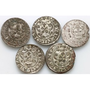 Zygmunt III Waza, zestaw szelągów, (5 sztuk)