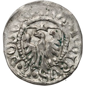 Kazimierz IV Jagiellończyk 1447-1492, szeląg, Elbląg