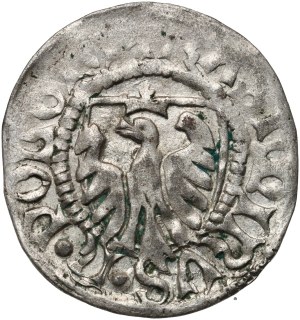 Kazimierz IV Jagiellończyk 1447-1492, szeląg, Elbląg