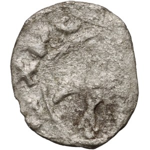 Kazimierz III Wielki 1333-1370, denar, Kraków