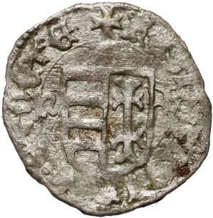 Ladislaus III of Varna 1434-1444, denarius