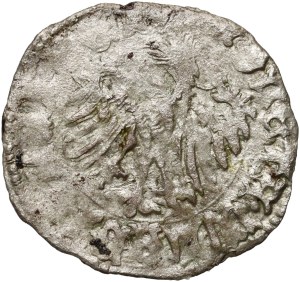 Ladislaus III of Varna 1434-1444, denarius