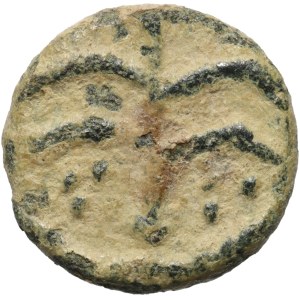 Migration Period, Vandals, Africa, VIth cent., Nummus, Palm