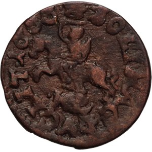 Jan II Kazimierz, szeląg litewski 1666, Brześć