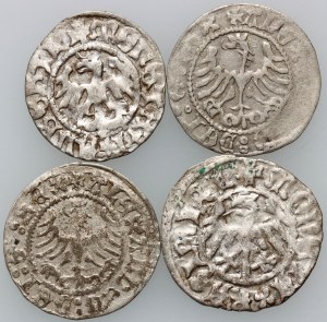 Casimir IV Jagiellonian / John Olbracht, set of half-pennies, (4 pieces)