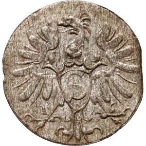 Prussia, Albrecht Frederick Hohenzollern, denarius 1571, Königsberg