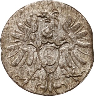 Prussia, Albrecht Frederick Hohenzollern, denarius 1571, Königsberg