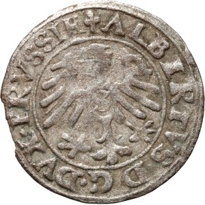 Prussia, Albrecht Hohenzollern, shilling 1553, Königsberg