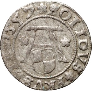 Prussia, Albrecht Hohenzollern, shilling 1557, Königsberg