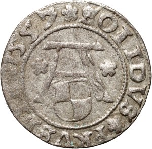 Prussia, Albrecht Hohenzollern, shilling 1557, Königsberg