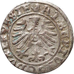 Prussia, Albrecht Hohenzollern, shilling 1557, Königsberg