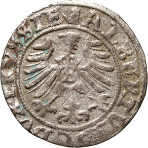 Prussia, Albrecht Hohenzollern, shilling 1557, Königsberg