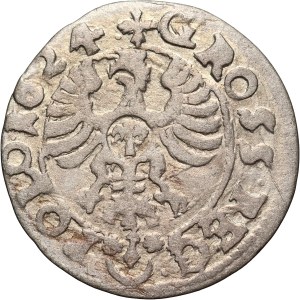 Sigismund III Vasa, 1624 penny, Bydgoszcz