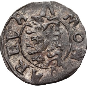 Jan III Waza 1568-1592, szeląg, Rewal