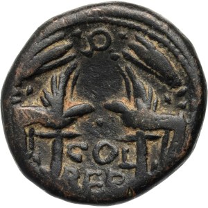 Rome Provincial, Phoenicia, Hadrian 117-138, Bronze, Berytus