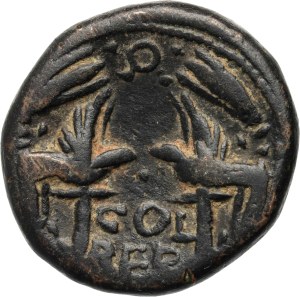 Rome Provincial, Phoenicia, Hadrian 117-138, Bronze, Berytus