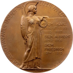 Franz Joseph I., Medal 1915