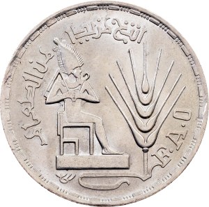 Egypt, 1 Pound 1396 (1976), Cairo