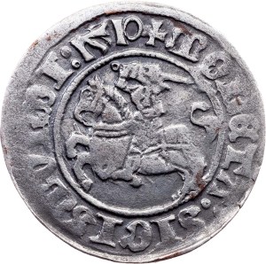 Sigismund I. the Old, 1/2 Groschen / Półgrosz 1510, Vilnius