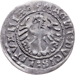 Sigismund I. the Old, 1/2 Groschen / Półgrosz 1519, Vilnius