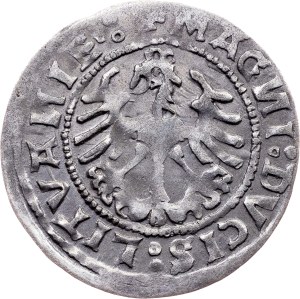 Sigismund I. the Old, 1/2 Groschen / Półgrosz 1519, Vilnius