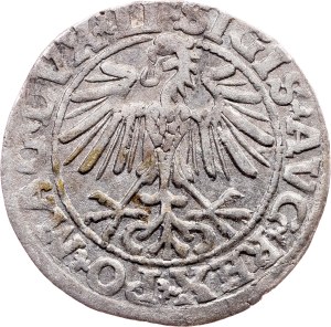 Sigismund II. August, 1/2 Groschen / Półgrosz 1549, Vilnius