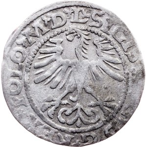 Sigismund II. August, 1/2 Groschen / Półgrosz 1564, Vilnius