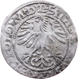 Sigismund II. August, 1/2 Groschen / Półgrosz 1564, Vilnius