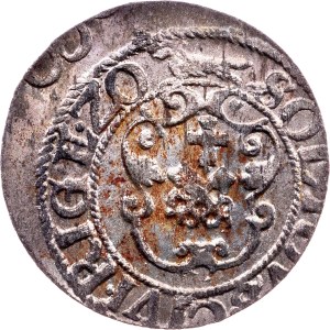 Sigismund III. Vasa, Solidus 1620, Riga