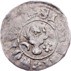 Moldova region, Groat 1375 - 1391
