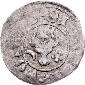 Moldova region, Groat 1375 - 1391