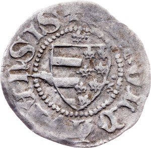 Moldova region, Groat 1375 - 1391