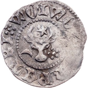 Moldova region, Groat 1375 - 1391