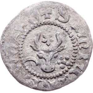 Moldova region, Groat 1375 - 1391