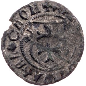 Moldova region, groat 1517-1527