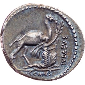 A. Plautius, Denarius 55 BC, Rome