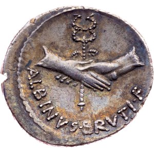 Albinus Bruti f., Denarius 48 BC, Rome