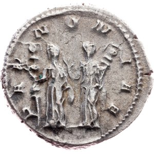 Trajan Decius, Antoninianus 249-251, Rome