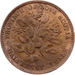 Nova Scotia , 1/2 Penny 1856, Heaton
