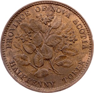 Nova Scotia , 1/2 Penny 1856, Heaton