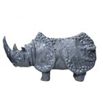 Arek Szwed (né en 1969), Blue Rhino