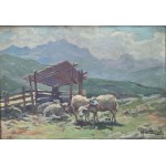 Michał Stańko (1901 Sosnowiec - 1969 Zakopane), Na hali