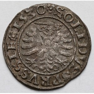 Zygmunt I Stary, Szeląg Toruń 1530