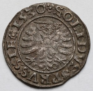 Sigismund I the Old, Szeląg Toruń 1530