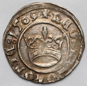 Sigismund I the Old, Half-penny Cracow 1509