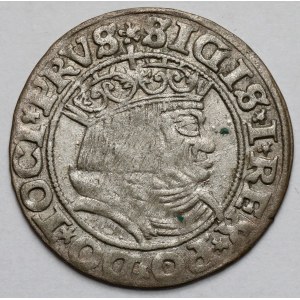 Sigismondo I il Vecchio, Grosz Toruń 1531