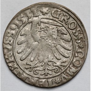 Sigismondo I il Vecchio, Grosz Toruń 1531